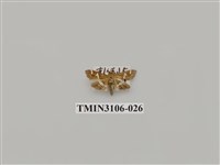藏品(螟蛾181)的圖片